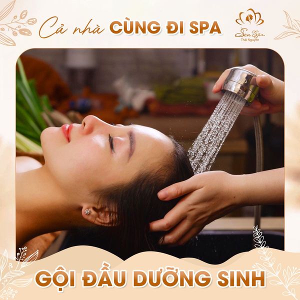 Gội đầu dưỡng sinh